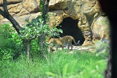 Gorewada International Zoological Park