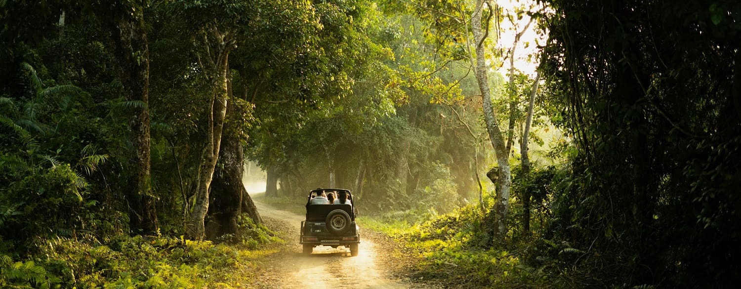 Gorewada Monsoon