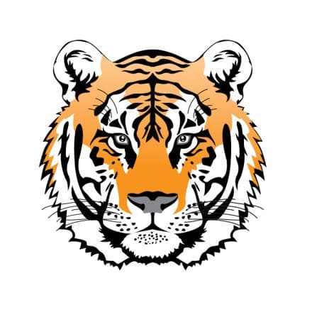 Bengal tiger at Gorewada Zoo Nagpur