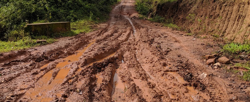 Gorewada Jungle Drive: Nature's Untamed Beauty