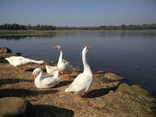 Gorewada Dam