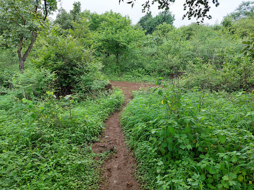 Gorewada greenery